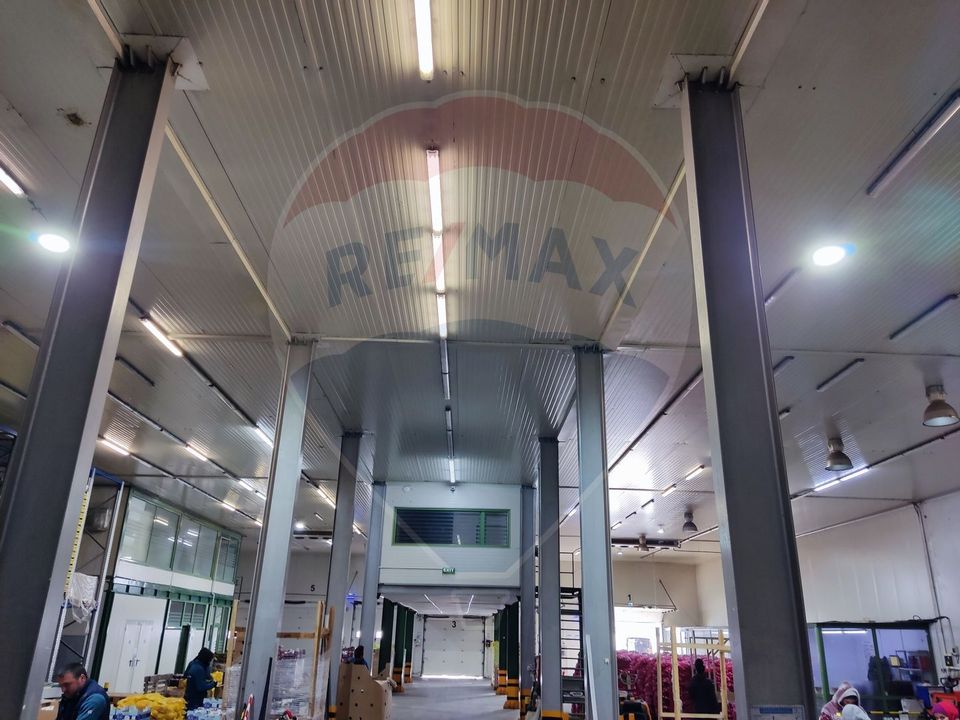 Depozit frigorific  hala ideal legume, fructe, flori