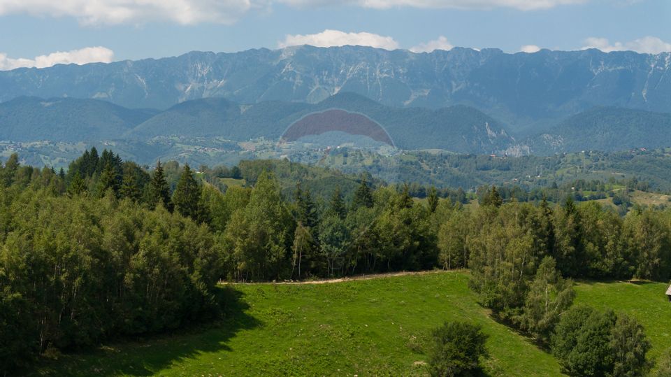 Teren Panoramic in Bran – Vedere spre Bucegi & Piatra Craiului