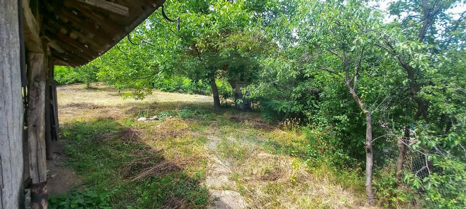 Teren Intravilan de vanzare 3551mp Poiana Copaceni Com Gura Vitioarei