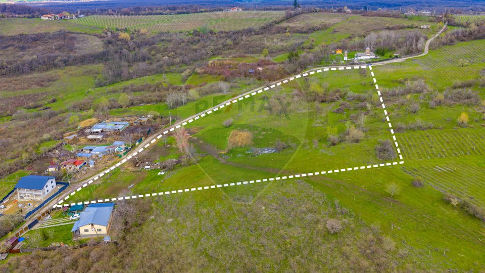 Teren 33.500 mp-Valea Orlei, Prahova/ COMISION 0%