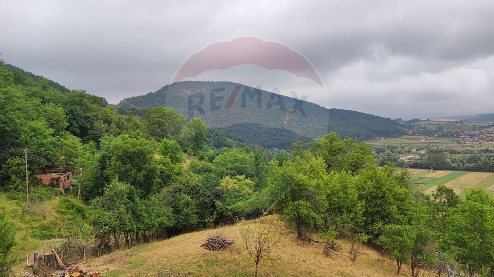 Casă de vacanta cu 6 camere de vanzare Suncuius