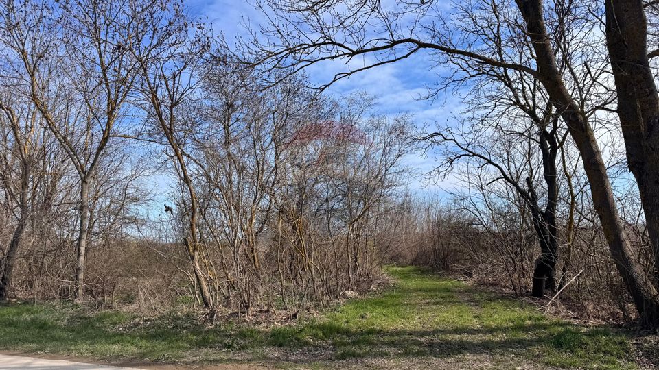Land 21,783sqm Olimp / Strada Trandafirilor