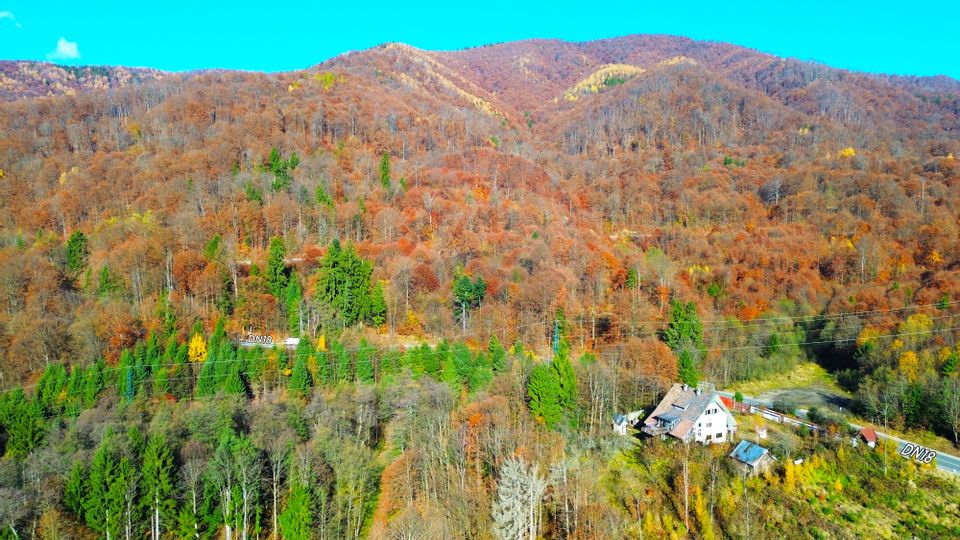 DE VANZARE DN Baia Mare–Sighet  29AR  Construcție multifunctionala