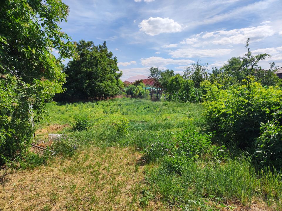 Land Inside the builtup area 3000 sqm, for sale Arad, Curtici, Central