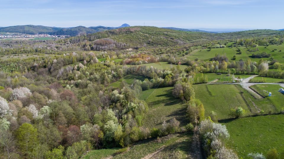 Land 6,800sqm Bran / Strada Tohanita