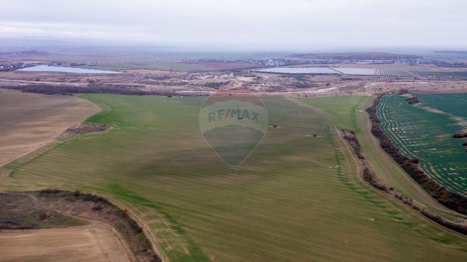 Land 310,000sqm Catunu (Berceni) / Intrarea tarla 17