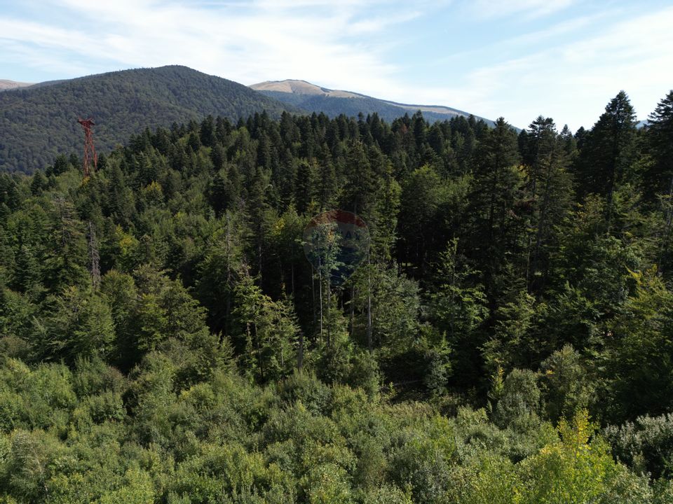 Teren intravilan 2,244mp Sinaia | Strada Soimului | Vedere Panoramica