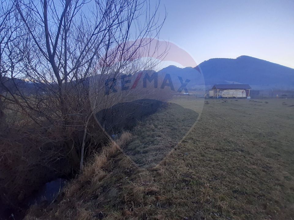 Teren 1,404mp Zarnesti / Strada FN