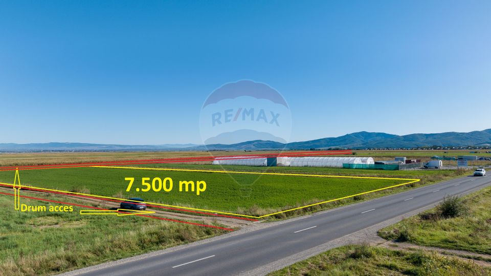 Teren comercial / industrial | 7,500mp Strada Zizinului | Tarlungeni