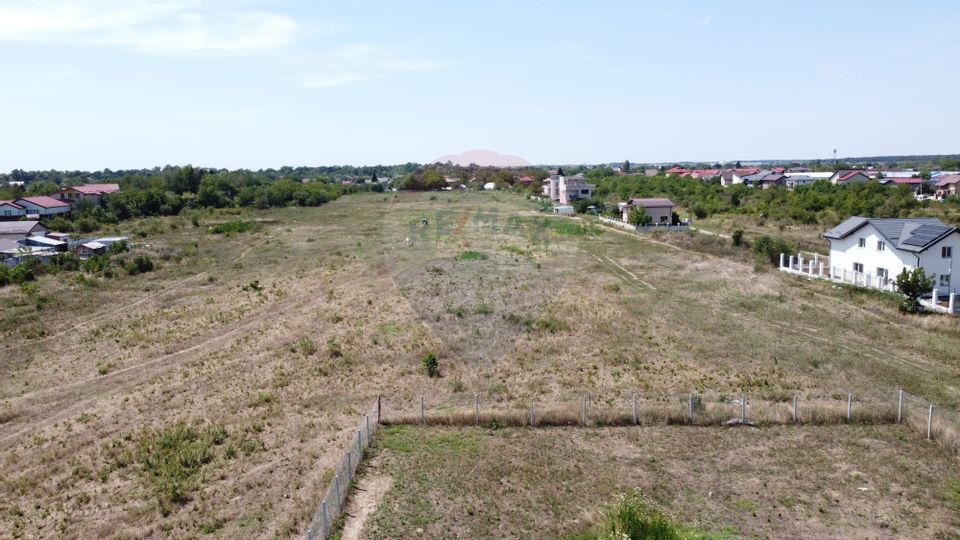 Land 40,000sqm Mogosoaia / Strada Teiului