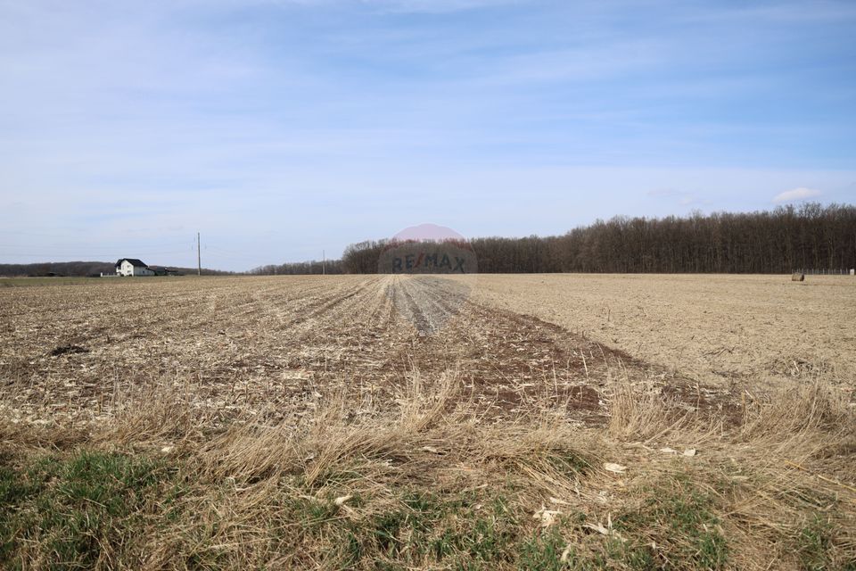 Teren 9,740mp Suceava / Strada Principala