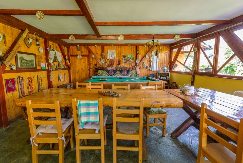 Casă spațioasă cu garaj dublu, foișor și curte amenajată