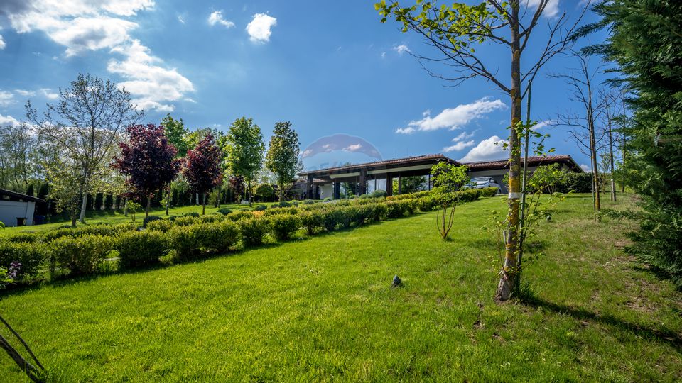 Preț Preferențial- Ofertă limitată pana la 31 Decembrie