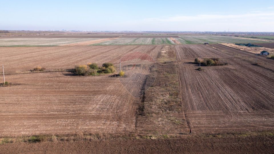 Land 7,400sqm Sabareni / Strada Primaverii