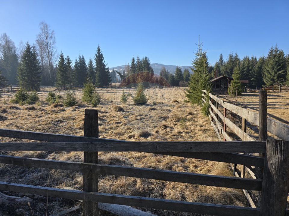 Land 3,266sqm Dorna-Arini / Drumul ORTOAIA - PODIREI