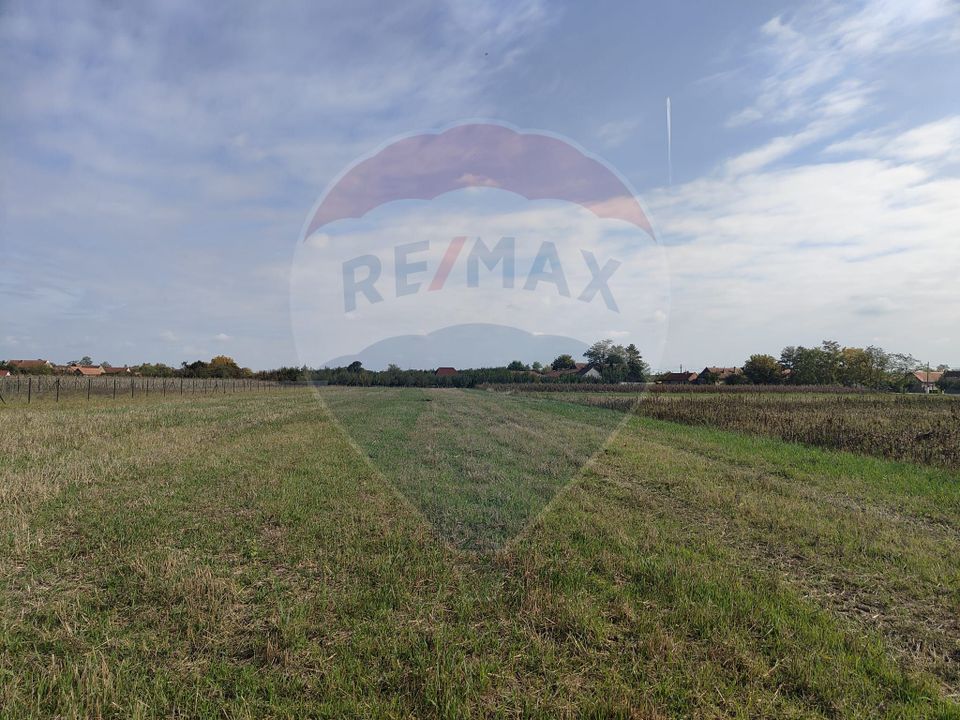 Land 2,217sqm Ohaba-Forgaci / Soseaua principala