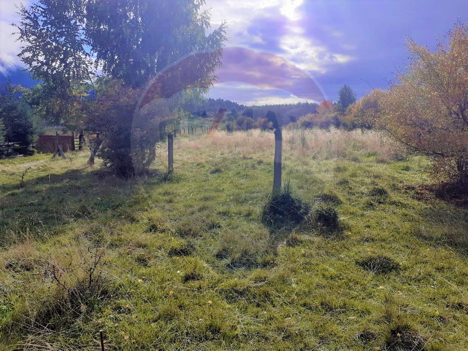 Comision Teren Rasnov - Strada Poiana velicanului, 5167mp