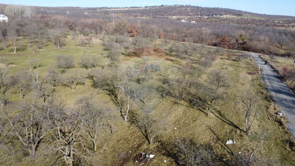 Teren 20.146 mp Dâmbu Rotund (Lomb).Extravilan.Potențial rezidențial