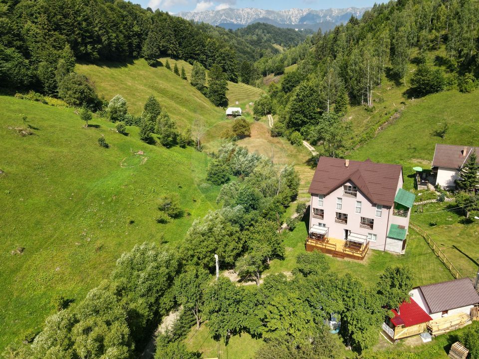 21 room House / Villa for sale