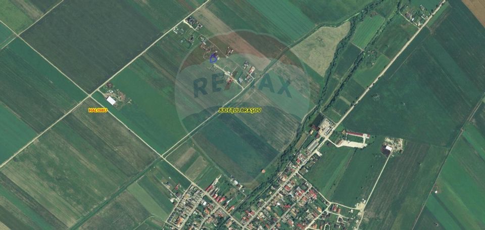 Land 503sqm Halchiu / Strada Ciucasului