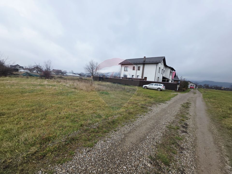 Teren 519mp Dumbrava Rosie / Strada CRANGULUI