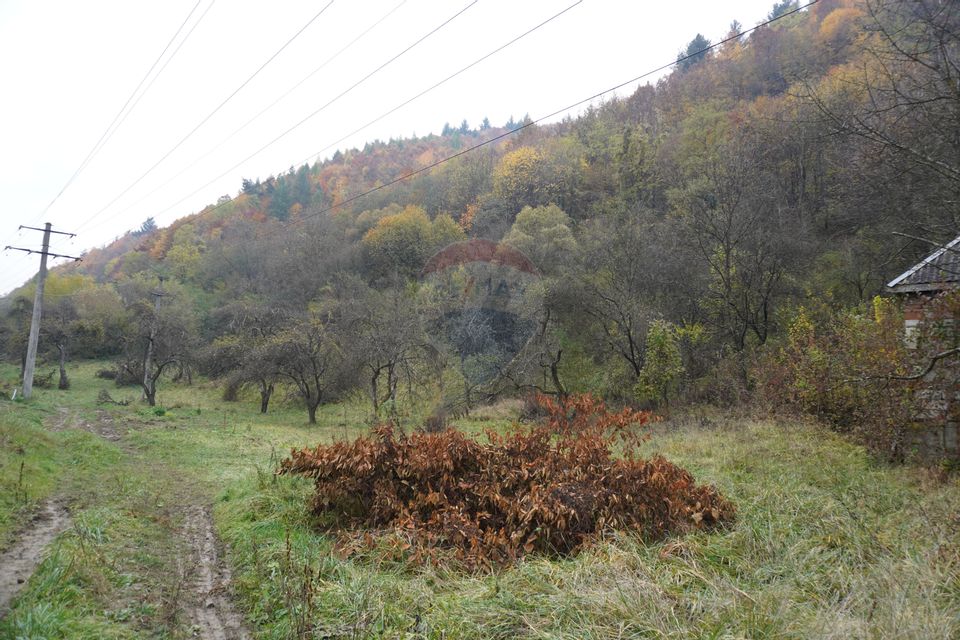 Land 35,232sqm Sighetu Marmatiei / Strada Valea Cufundoasa