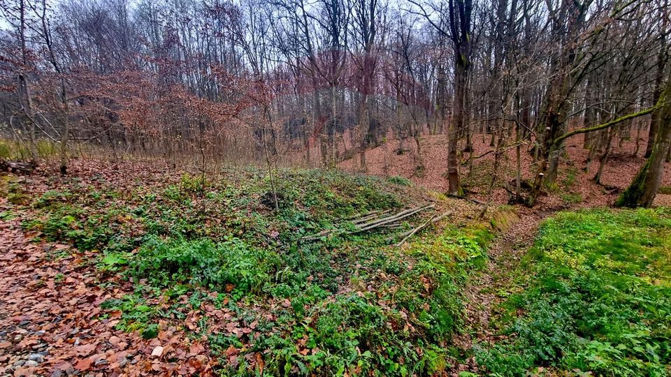 Land 924sqm Tautii-Magheraus / Strada Apa Sarata