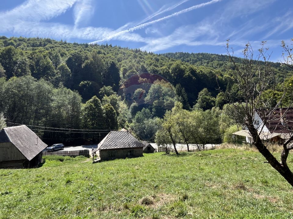 Land 2,000sqm Rachitele / Strada Principala