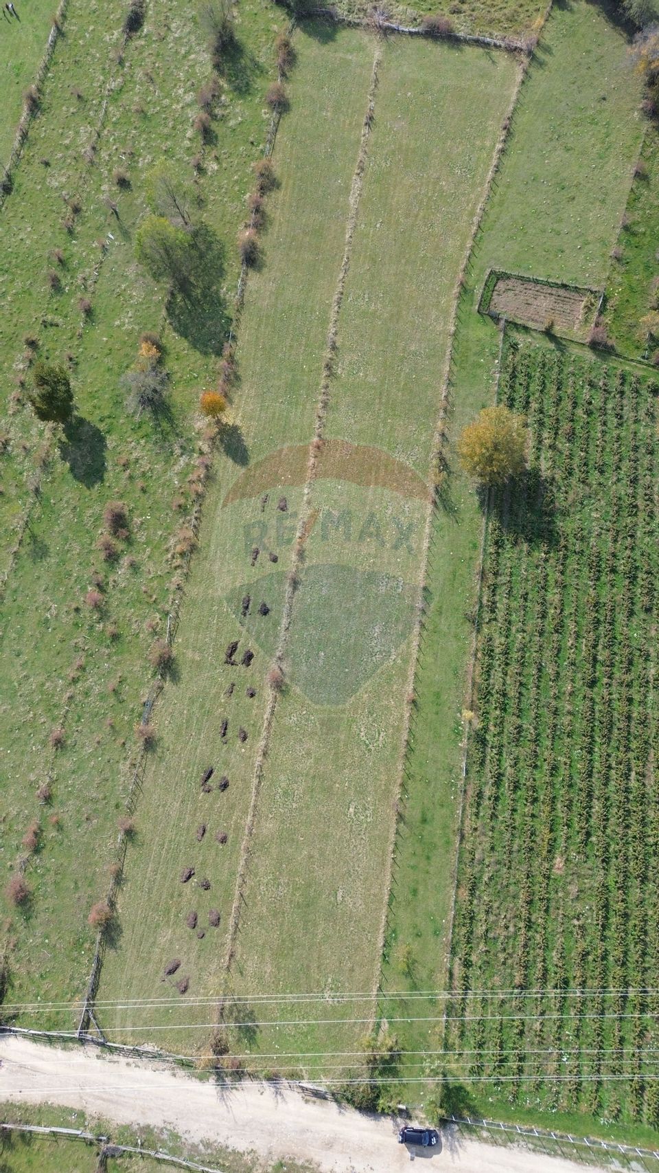 Land 3,831sqm Leresti / Strada Poduri