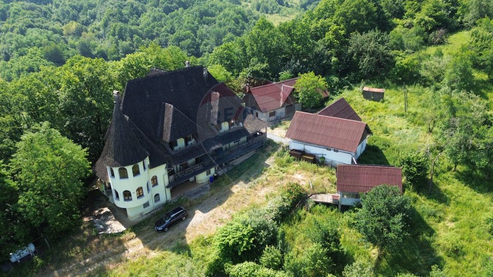 10 room House / Villa for sale