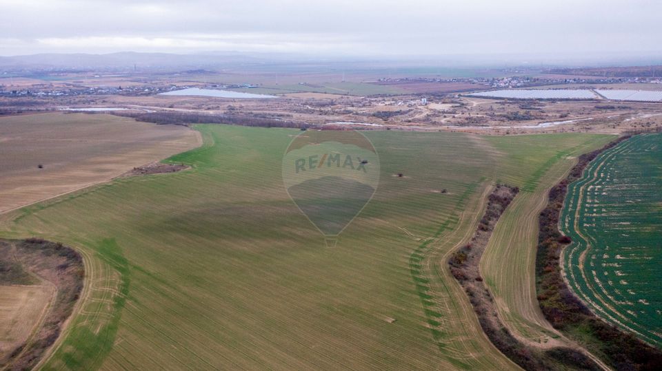 Land 310,000sqm Catunu (Berceni) / Intrarea tarla 17