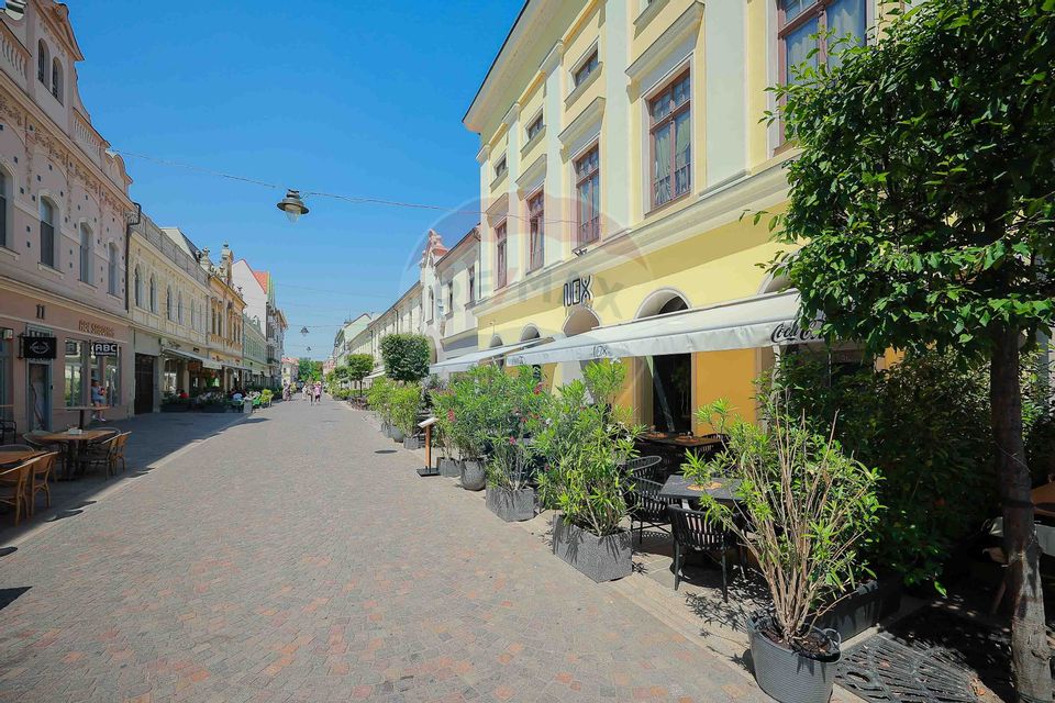 De vânzare — Spațiu comercial parter 409 mp, Vasile Alecsandri