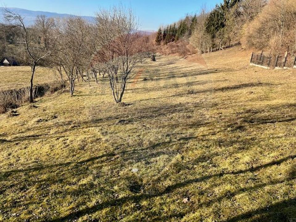 Land 6,900sqm Breb / Drumul secundar