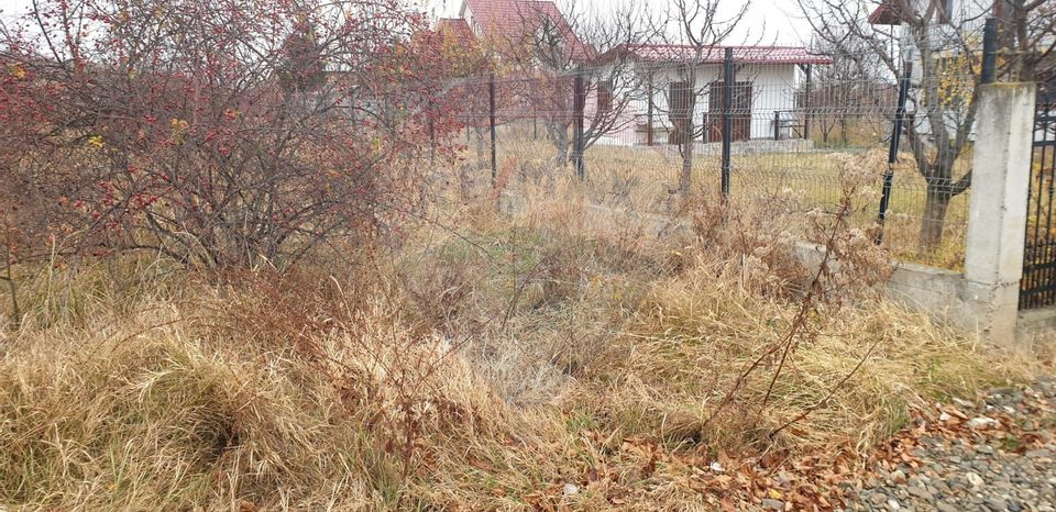 Land 1,000sqm Fantanele (Hemeius) / Strada Liliacului