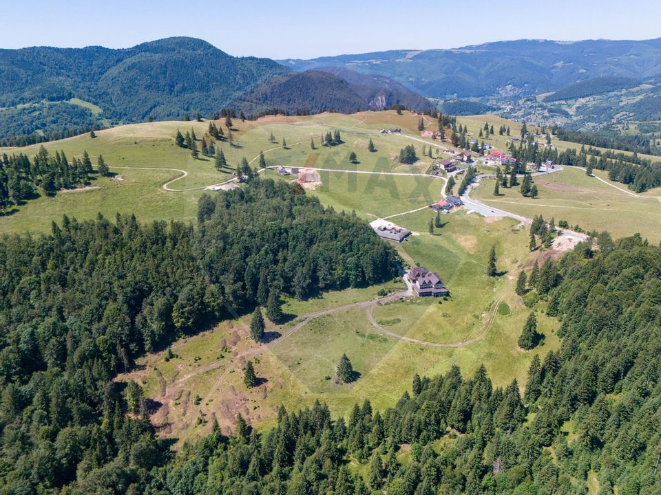 Teren intravilan, 6000mp Dambovicioara / DN 73- dealul sasului!