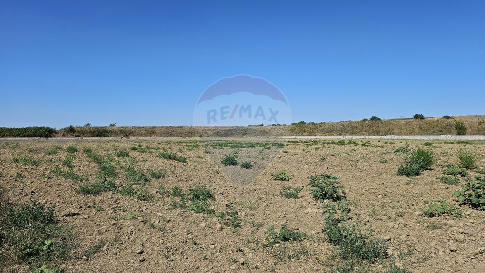 Land 52,115sqm Hutani / DJ DJ291