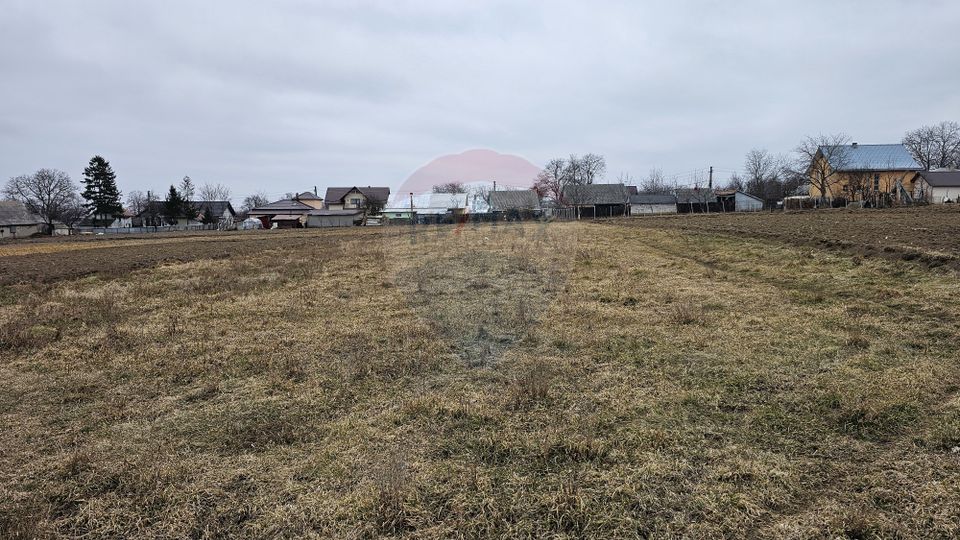 Casă / Vilă cu 12 camere, teren intravilan de 2869mp în Siminicea, SV