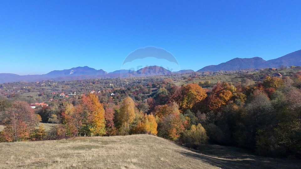 Teren 2,500mp Bran / Strada Bradul Inalt