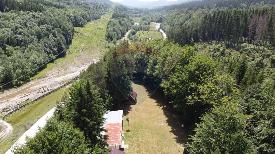 Teren cu cabanuta si anexe - Valea Doftanei