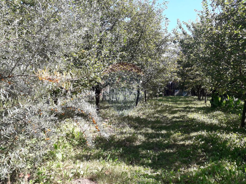Land 900sqm Sanpetru / Strada TRIAJULUI