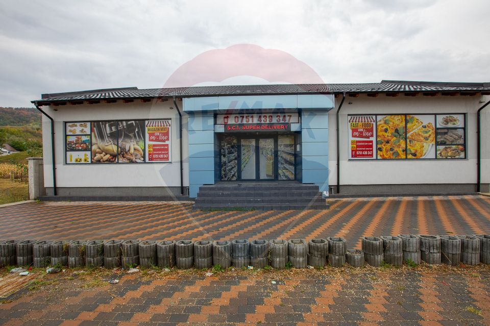 Spațiu comercial de vânzare, sat Furnicari, comuna Tamași, jud. Bacău