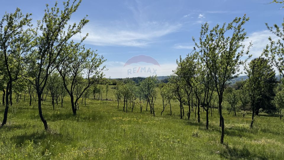 TEREN DE VANZARE SE ACCEPTA SCHIMB CU PROPRIETATI ÎN ORAS