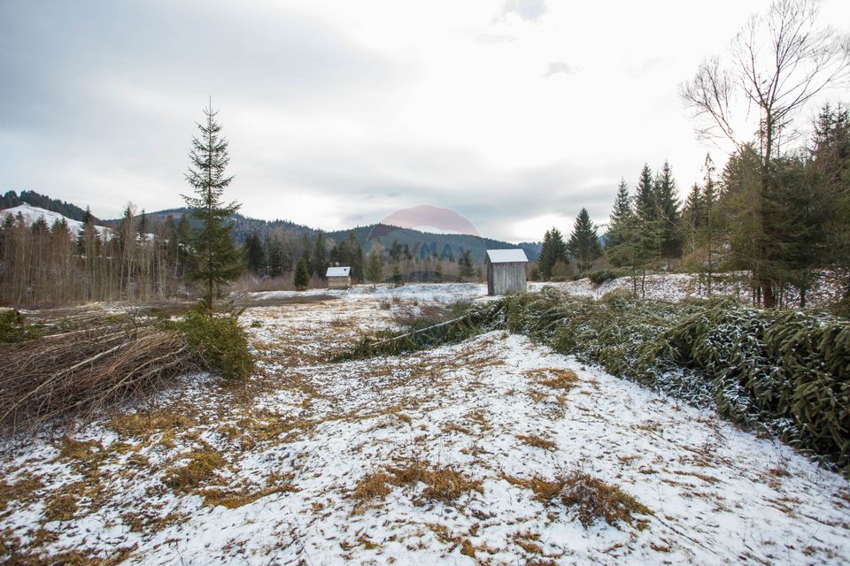 Land 49,000sqm Borca / Strada Vitoria lipan