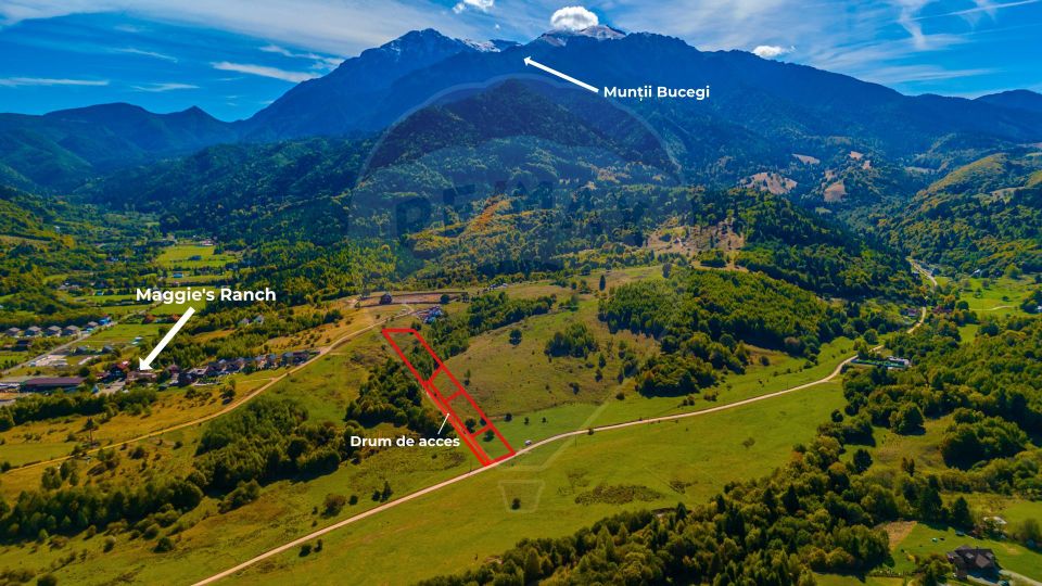 Teren 1,574mp Rasnov, Strada Valea Panicelului- varf de deal