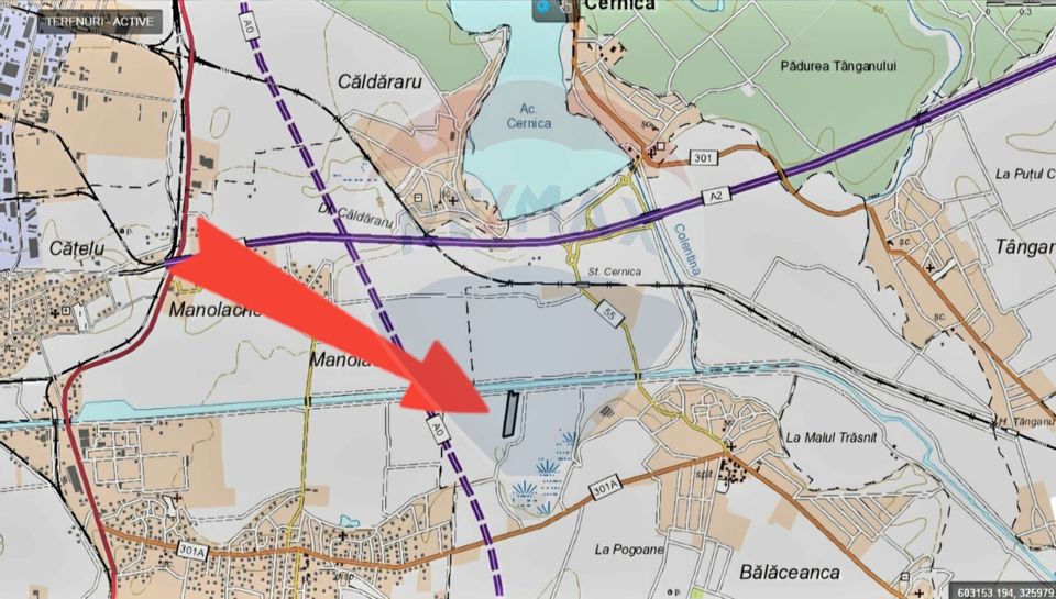 Land 27,400sqm Cernica / Drumul Comunal 55