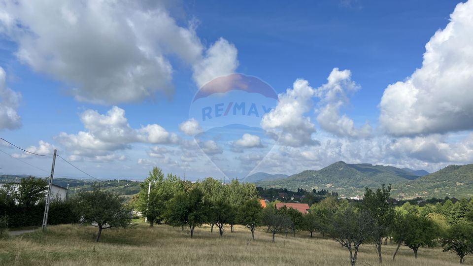 Land 5,155sqm Baia Sprie / Strada Dragos Voda