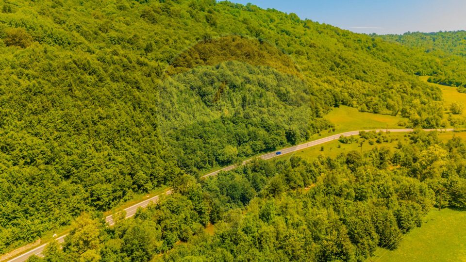Land 3,750sqm Sacele / Drumul Bradet