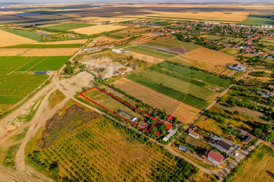 Land 4,000sqm Zadareni / Drumul Drumul principal