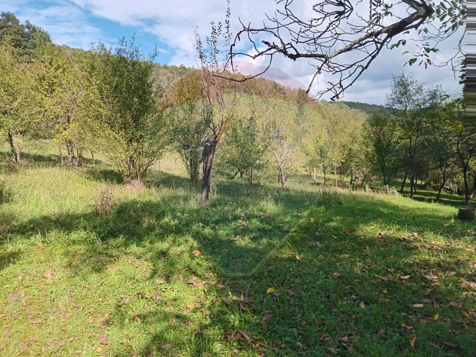 3 room House / Villa for sale