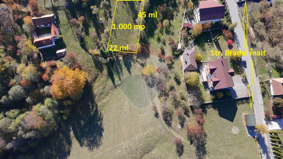 Teren de Vis în Bran – 1000mp Plat, Liniște Absolută și Aer Curat